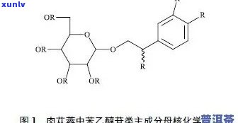 普洱茶中化学成分及其药理学作用的深入解析与研究进展