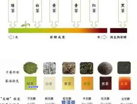 普洱茶生化成分拼配