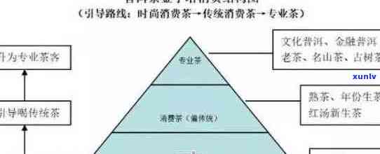 北京普洱茶渠道招商全方位指南：如何寻找合适的供应商、合作方式和行业动态