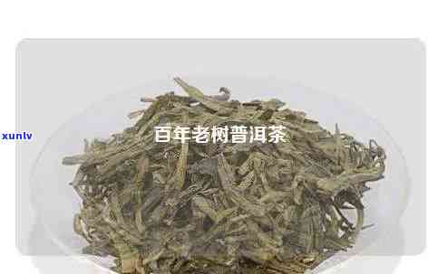 百年老枞普洱茶功效