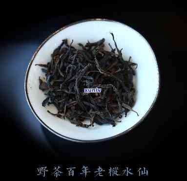 百年老枞普洱茶功效