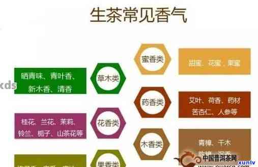 探究普洱茶香气的科学分析 *** 与技巧