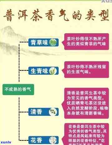 普洱茶香气科学分析： *** 、步骤与技巧详解，让你深入了解普洱茶的香气奥秘