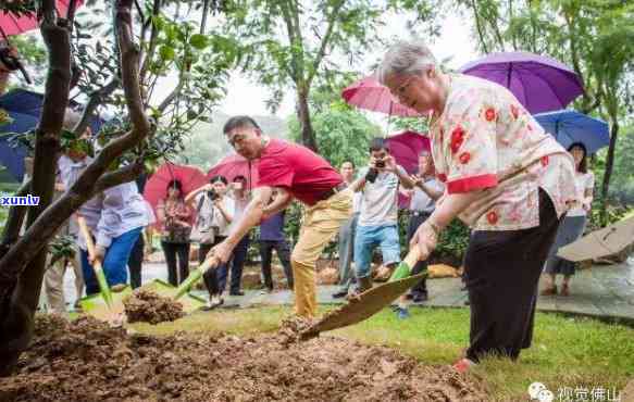 佛山地区投资山茶加盟项目所需满足的条件与要求