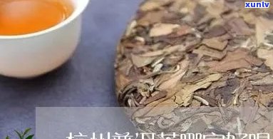 杭州普洱茶排行榜：全方位指南助您挑选优质茶叶