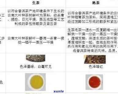 普洱茶产品介绍分析报告：全面解析与评价