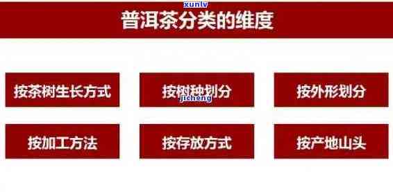 深入解析普洱茶产品特点与市场分析：一份全方位指南