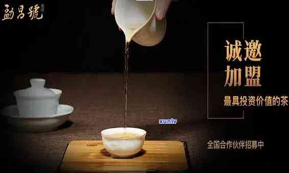 普洱茶招商网：一站式了解普洱茶叶招商信息、投资加盟详情及行业动态