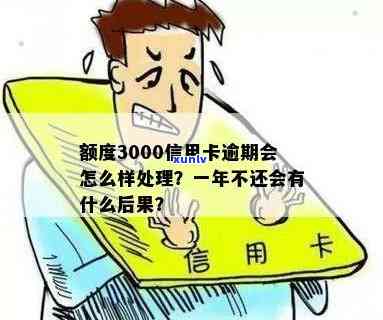 信用卡3000元逾期一年的后果及处理 *** 