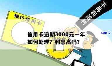 信用卡3000元逾期一年的后果及处理 *** 