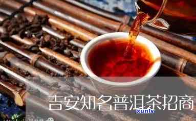 吉安普洱茶加盟