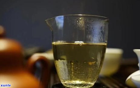 普洱茶年产量概况：探寻每年的茶叶宴