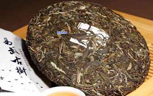 一年普洱茶饼多少钱