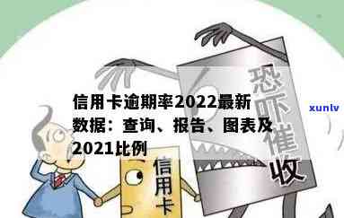 2022年信用卡逾期统计