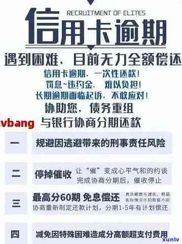 全面了解老翡翠手镯价格：从材质、工艺到市场行情一应俱全的指南