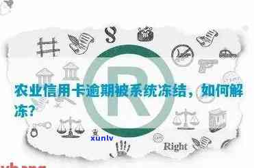 新农业银行信用卡逾期后被冻结的解决办法及注意事项