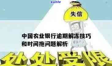 新农业银行信用卡逾期后被冻结的解决办法及注意事项