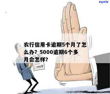 农行信用卡5000逾期6个多月，我该如何解决？可能的后果和解决方案有哪些？