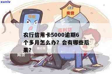 农行信用卡5000逾期6个多月，我该如何解决？可能的后果和解决方案有哪些？