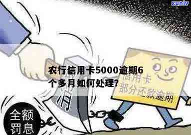 农行信用卡5000逾期6个多月，我该如何解决？可能的后果和解决方案有哪些？