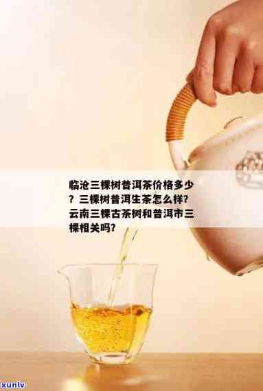 三棵树普洱茶的由来