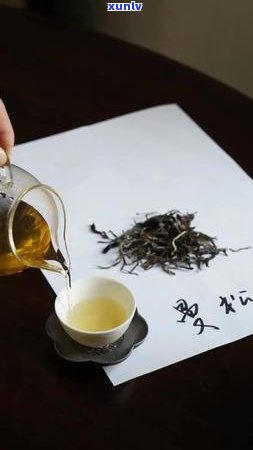 普洱茶新老五大名山