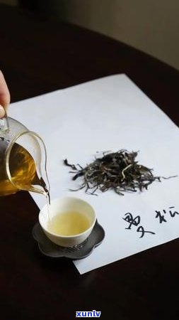 普洱茶新老五大名山