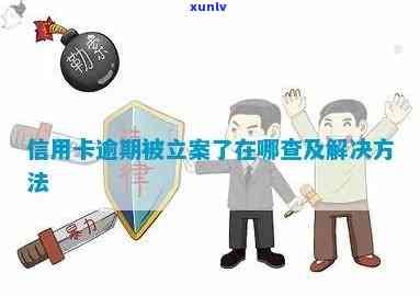 如何查询信用卡逾期案件是否已立案？了解详细步骤和注意事项