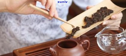 普洱茶每次冲泡多少克合适？