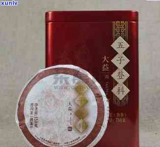 2012年大益普洱茶五子登科生茶的价格分析与品鉴