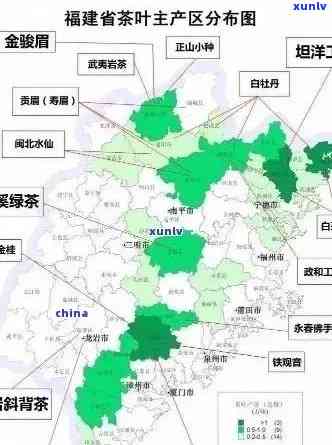 福州普洱茶叶场：全面指南与位置查询