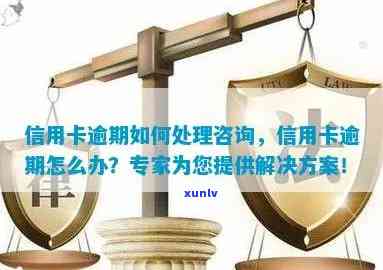 确山县信用卡逾期相关问题解答： *** 咨询、处理流程与后果全方位解析