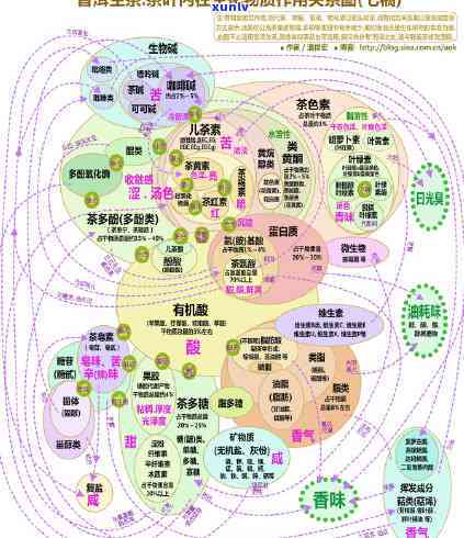 长时间使用的普洱茶特点和好处：深入了解这些优质茶叶的持久魅力