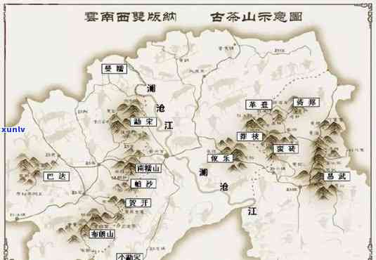 2021年易武地区普洱茶市场分析：、春茶、古树等多元价值体现