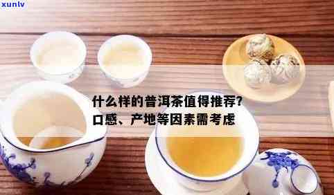 全面了解清香普洱茶：品种、产地、冲泡 *** 与口感评价