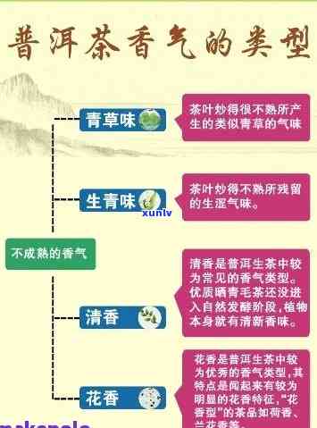 全面了解清香普洱茶：品种、产地、冲泡 *** 与口感评价