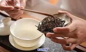 普洱茶能放瓷罐里吗？有吗？安全吗？能喝吗？