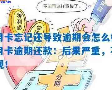 信用卡逾期6天还款，是否会影响记录？如何处理避免不良信用记录？