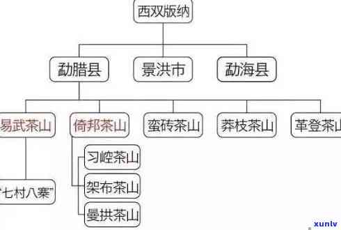 全方位解析普洱茶四大：历、特点、口感与购买指南