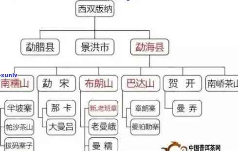 嵩顶高山一号普洱茶：品种、产地、 *** 工艺、品鉴 *** 及口感特点全面解析