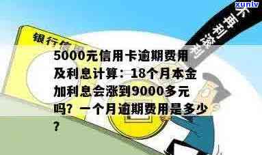 信用卡5000逾期费用怎么算：逾期利息、处理办法及每日损失