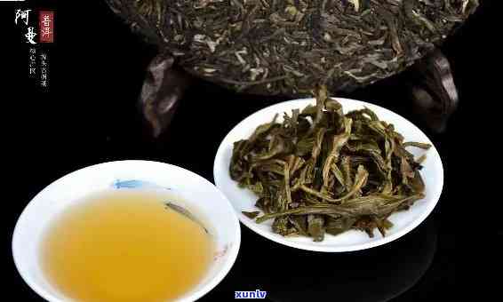 普洱茶年份与口感的关系：哪一年的普洱茶品质？