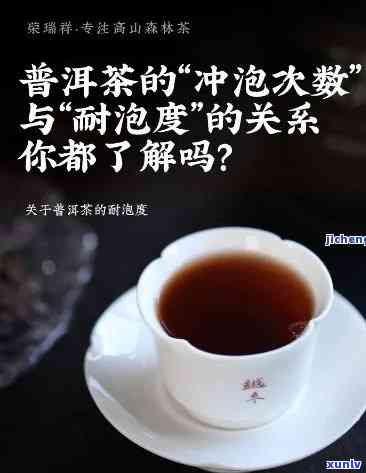 普洱茶冲泡量指南：一天适宜的饮用量是多少？