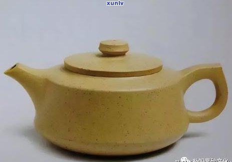 普洱茶：探索云南的乌龙茶与生茶的完美融合