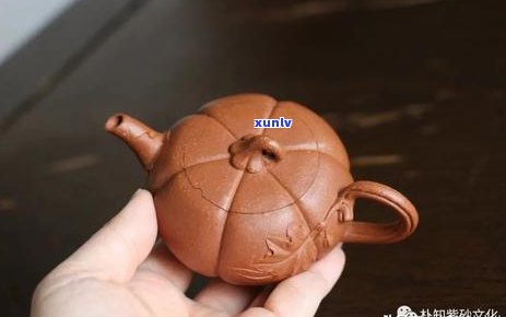 普洱茶：探索云南的乌龙茶与生茶的完美融合