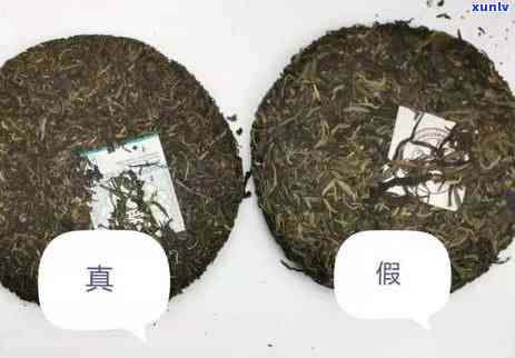 '一亩普洱茶赚多少钱合适？一亩普洱茶一年收益预估'