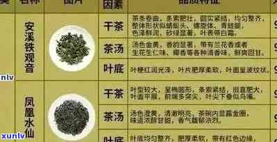 全面了解一叶知秋茶叶价格：品种、产地、品质等多元因素解析与比较