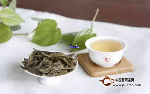 百花吟普洱茶怎样辨别真假、特点与鉴别 *** 