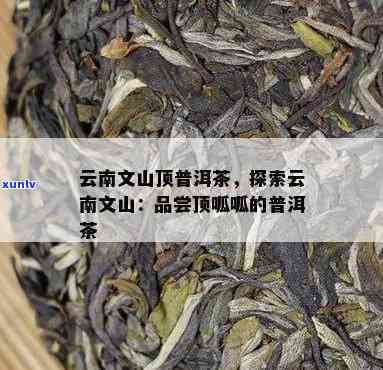 云南省文山州普洱茶