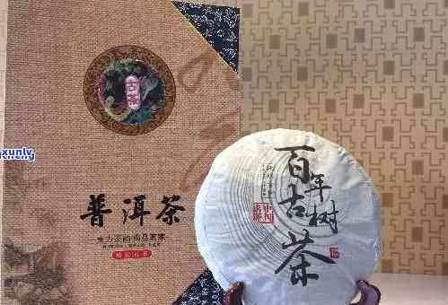 云南特色普洱茶品质保证：探究百利茶业的口碑与实力